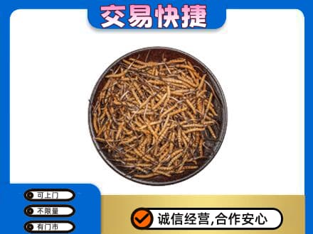 娄底礼品回收虫草.jpg
