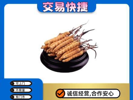 娄底礼品回收散虫草.jpg